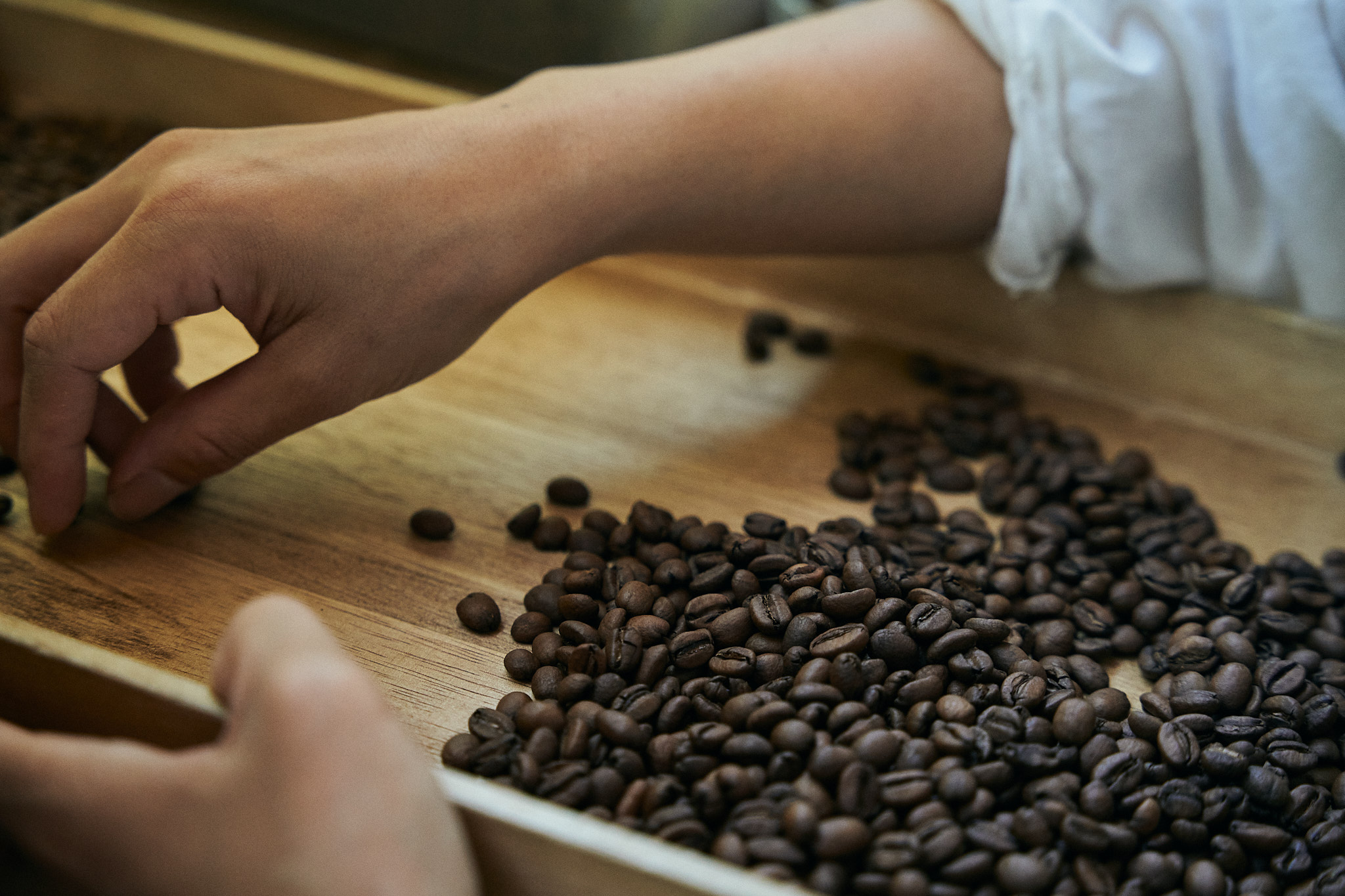 山﨑滉平 suzunari coffee 撮影