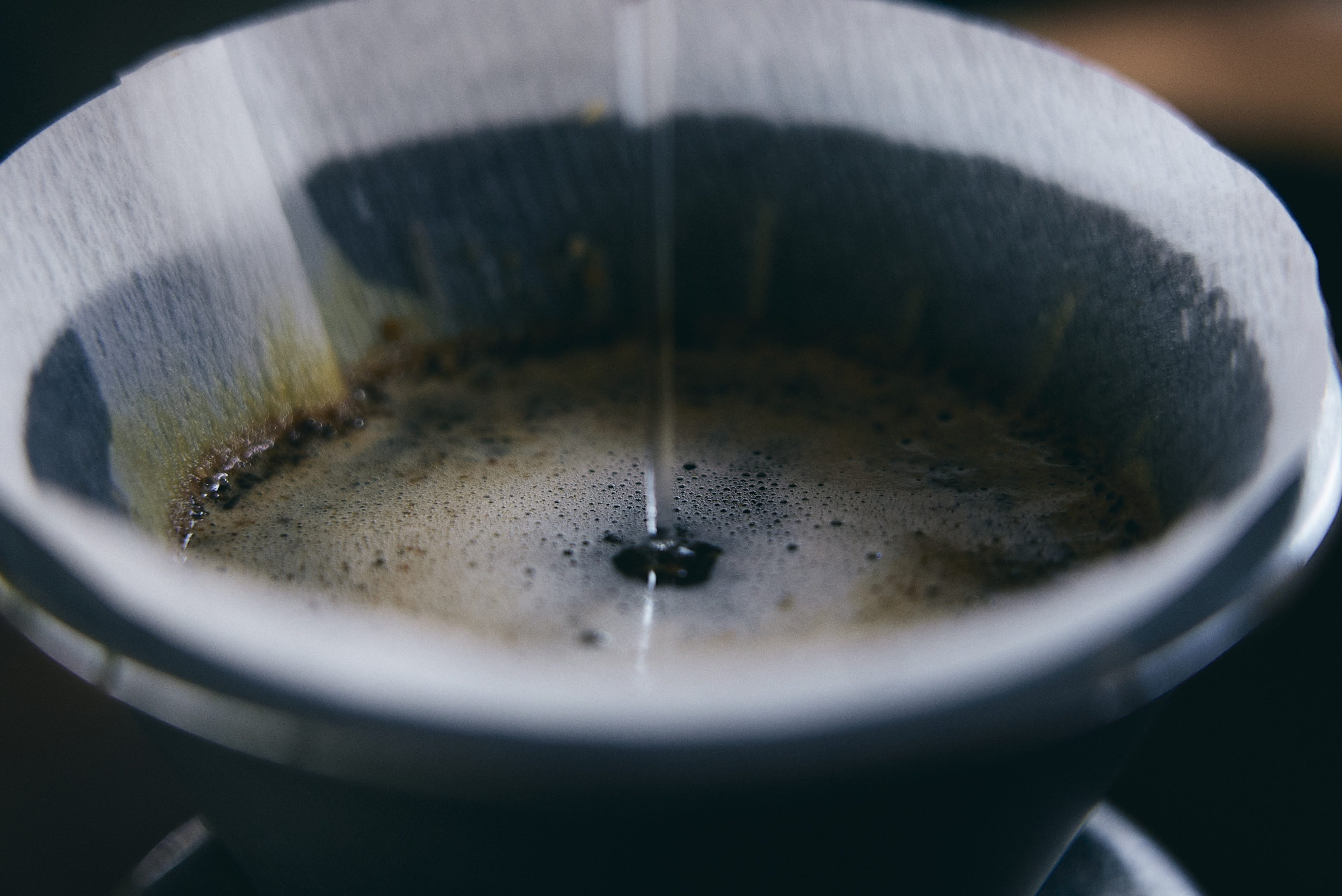 山﨑滉平 suzunari coffee 撮影
