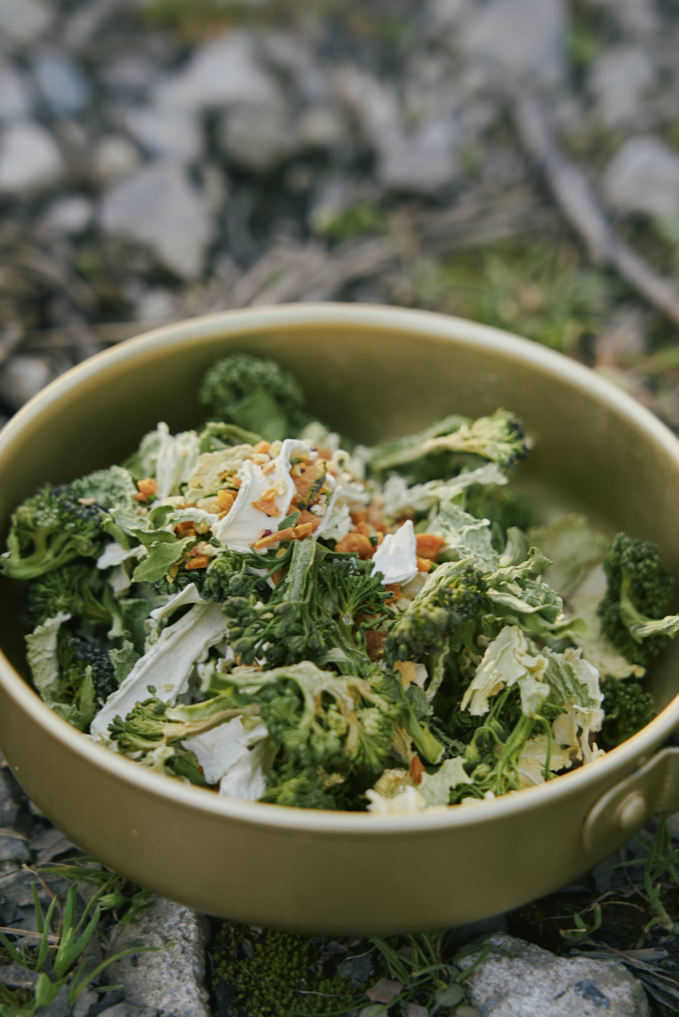 山﨑滉平 Dried Vegetables 撮影